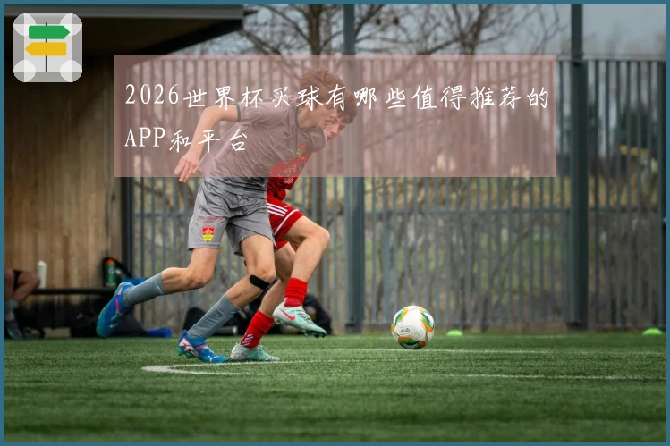 2026世界杯买球有哪些值得推荐的APP和平台