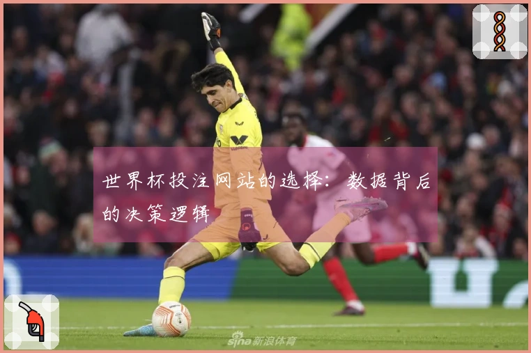 世界杯投注网站的选择：数据背后的决策逻辑